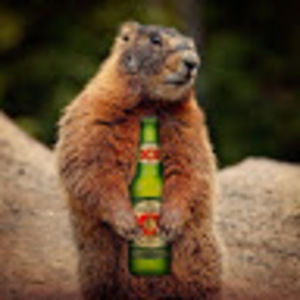 Meet your Posher, Steve